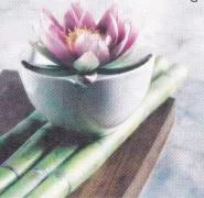 ZANYA Thai Massage Runby